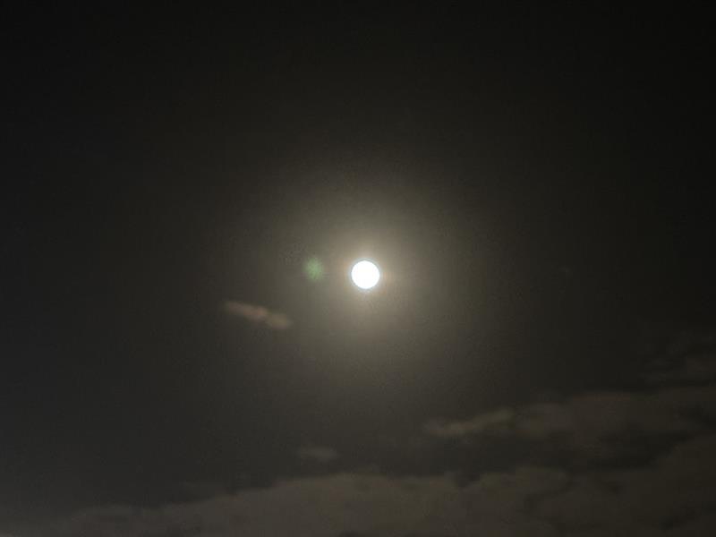 中秋の名月🌕
